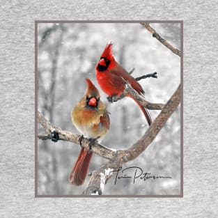 Red Cardinal Birds Snow T-Shirt